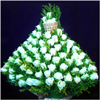Pure Haze - Click here to View more details about this Product